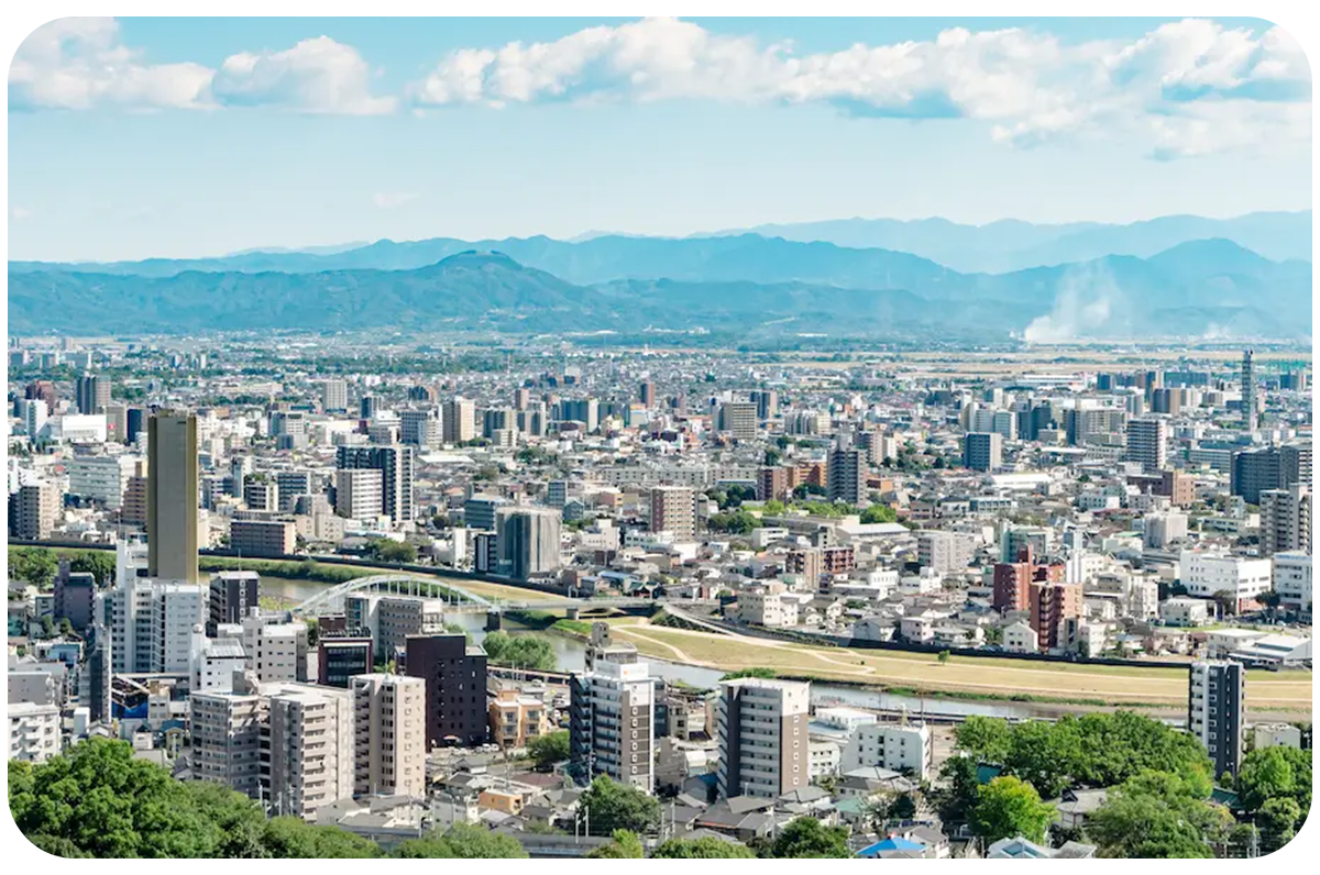 血清中のIgM、IgG量の変化を表した画像です。